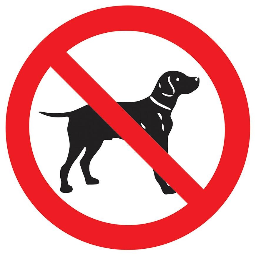 Zákaz vstupu se psem -
