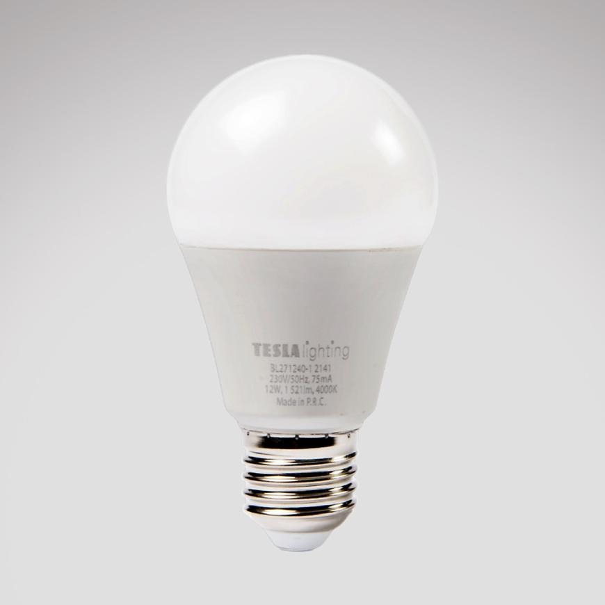 LED žárovka Bulb 12W