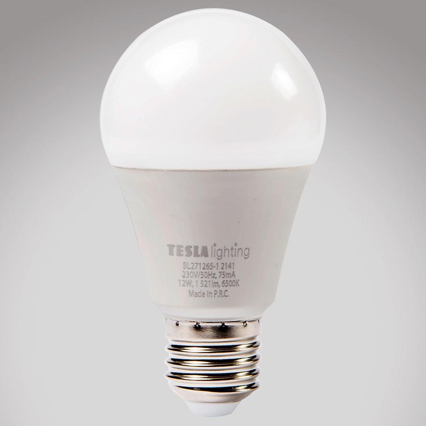 LED žárovka Bulb 12W E27